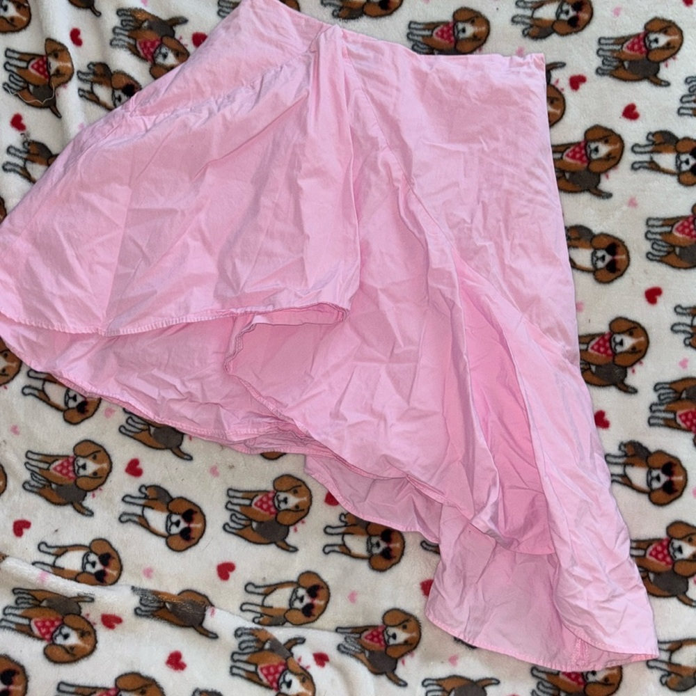 New without tags Zara Pink Skirt!